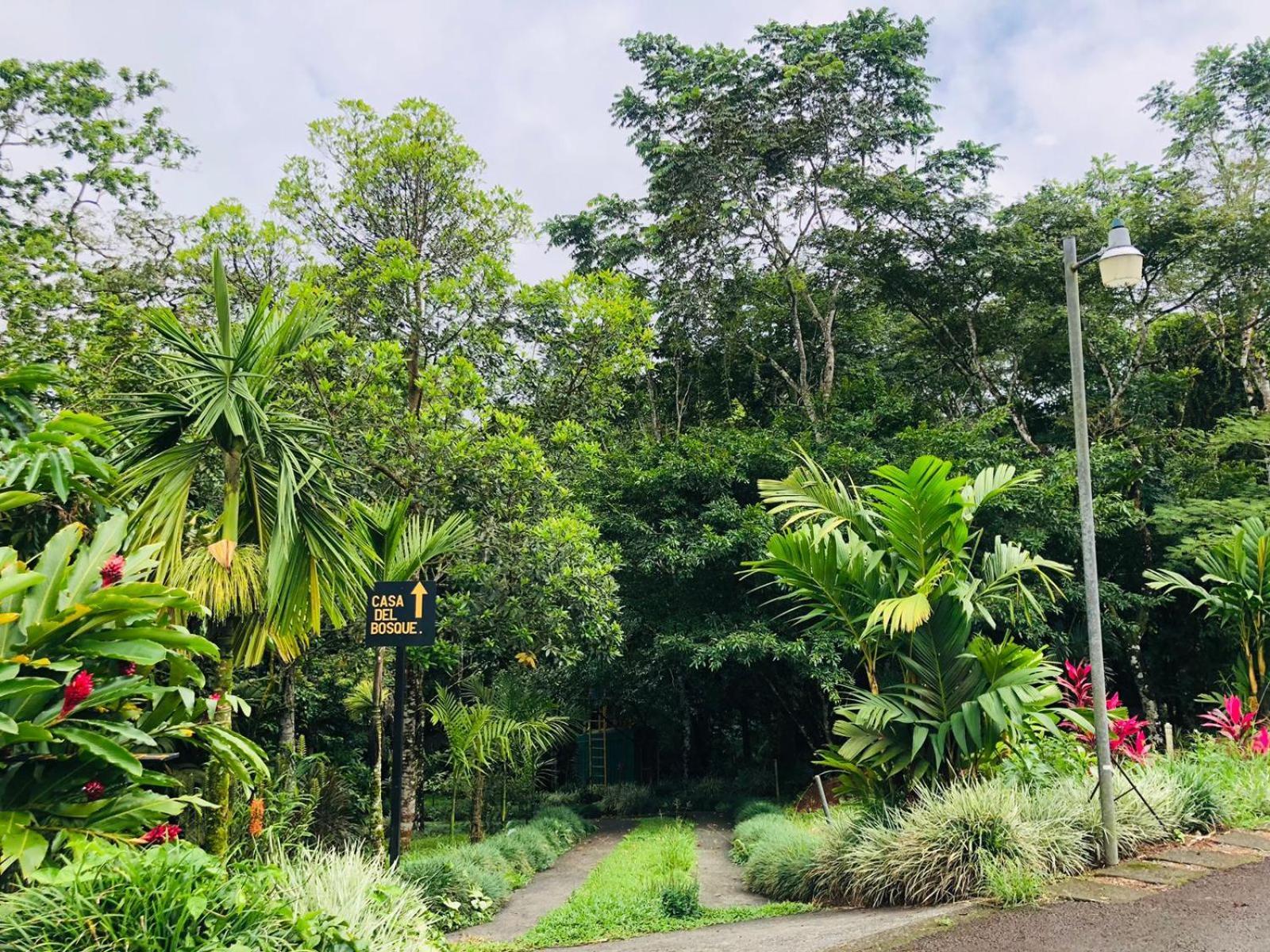 Ávita Lodge Quesada  Exterior foto