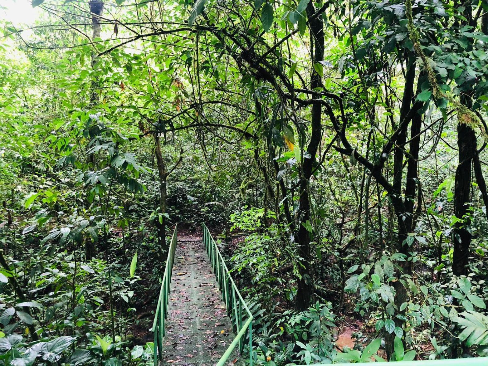 Ávita Lodge Quesada  Exterior foto