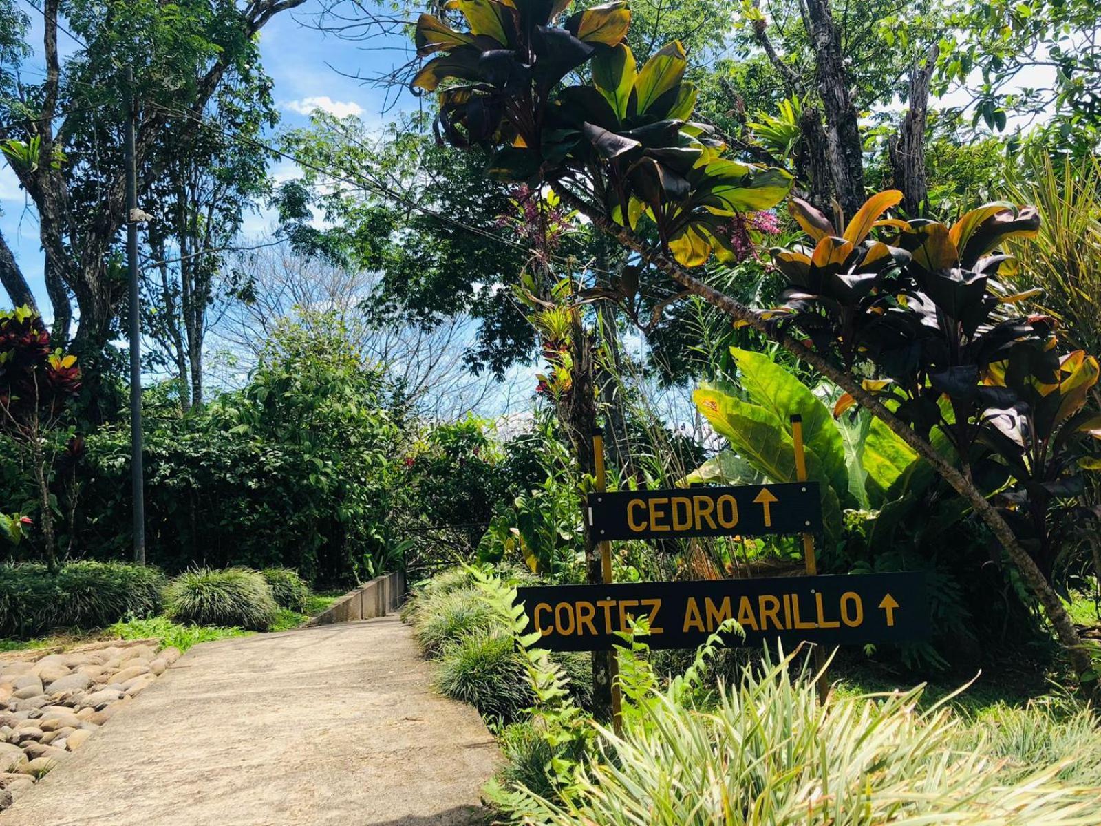 Ávita Lodge Quesada  Exterior foto